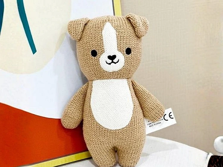 Teddy bear