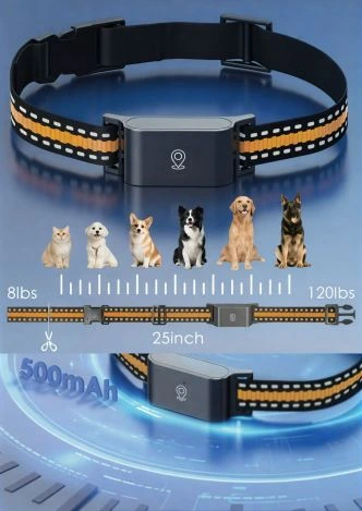 Dog Collar